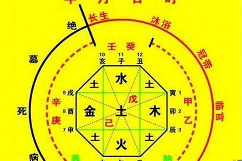 女命八字|生辰八字算命、五行喜用神查詢（免費測算）